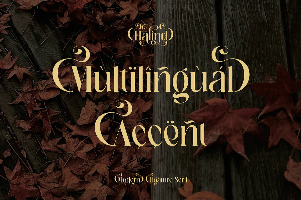 Halind Modern Elegant Serif, a Serif Font by Alfinart (Photo 10 of 10)