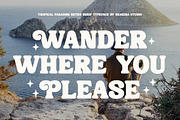 SKR - Tropical Paradise, a Serif Font by Shakira Studio (Thumbnail 3 of 10)