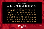 Brigata - Modern Luxury Branding, a Serif Font by Qweera Studio (Thumbnail 11 of 12)
