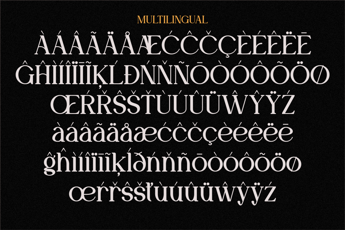Moela - Serif Display Typeface, a Serif Font by MaikoHatta (Photo 6 of 7)