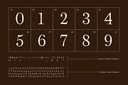 Maista Font Modern Display Serif, a Serif Font by Koplexs Studio (Thumbnail 11 of 11)