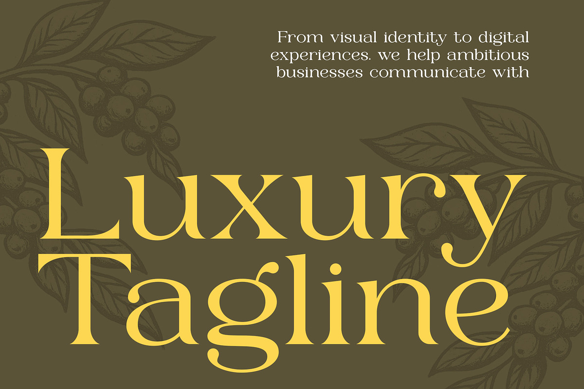 Monblan - Elegant Serif Typeface, a Serif Font by Muflieart (Photo 2 of 10)