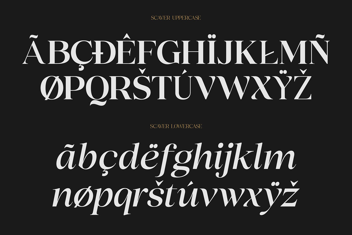 Scaver Font, a Serif Font by Glyphminds Studios (Photo 10 of 10)