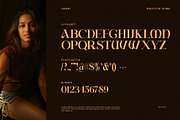 Gamon Unique Serif Font, a Serif Font by Perfectype (Thumbnail 8 of 8)