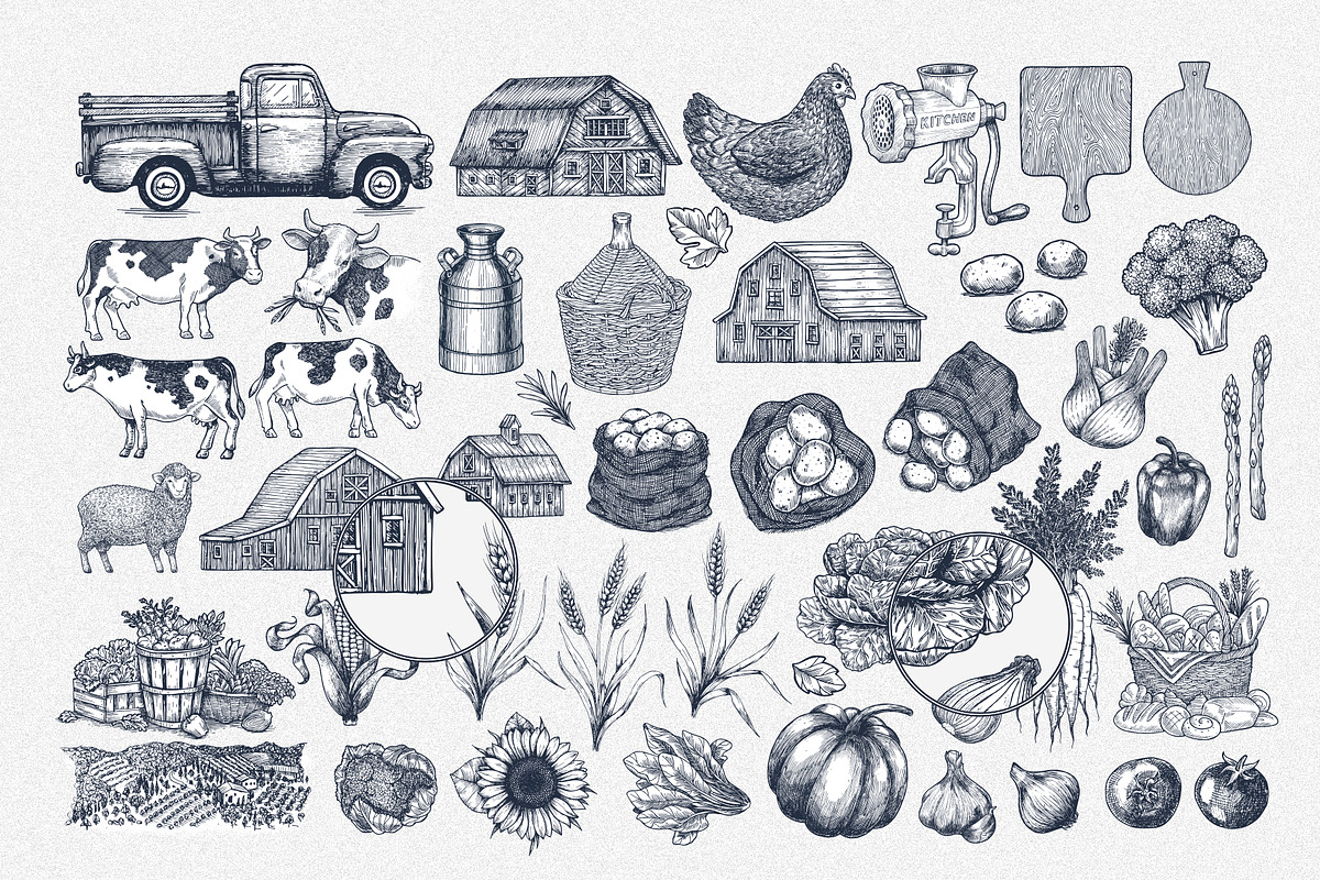 Life is better on the Farm, an Animal Illustration by adehoidar (Photo 2 of 9)