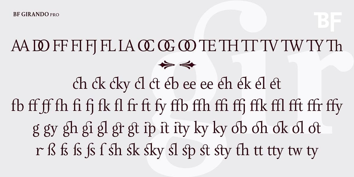 BF Girando Pro, a Serif Font by BrassFonts (Photo 3 of 6)