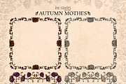 Autumn Moths & Dried Botanicals, an Animal Illustration by Ink Stories (Thumbnail 16 of 18)