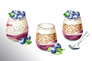 Blueberry. Watercolor collection, a Food Illustration by Daria Ustiugova (Thumbnail 18 of 25)
