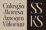 Giftagi Elegant Modern Serif, a Serif Font by timelesstype.co (Thumbnail 10 of 20)