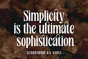 Rosamila Display, a Serif Font by Stripes Studio (Thumbnail 5 of 11)