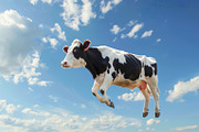 116 Flying animals, an Animal Photo by Handmadefont (Thumbnail 47 of 119)
