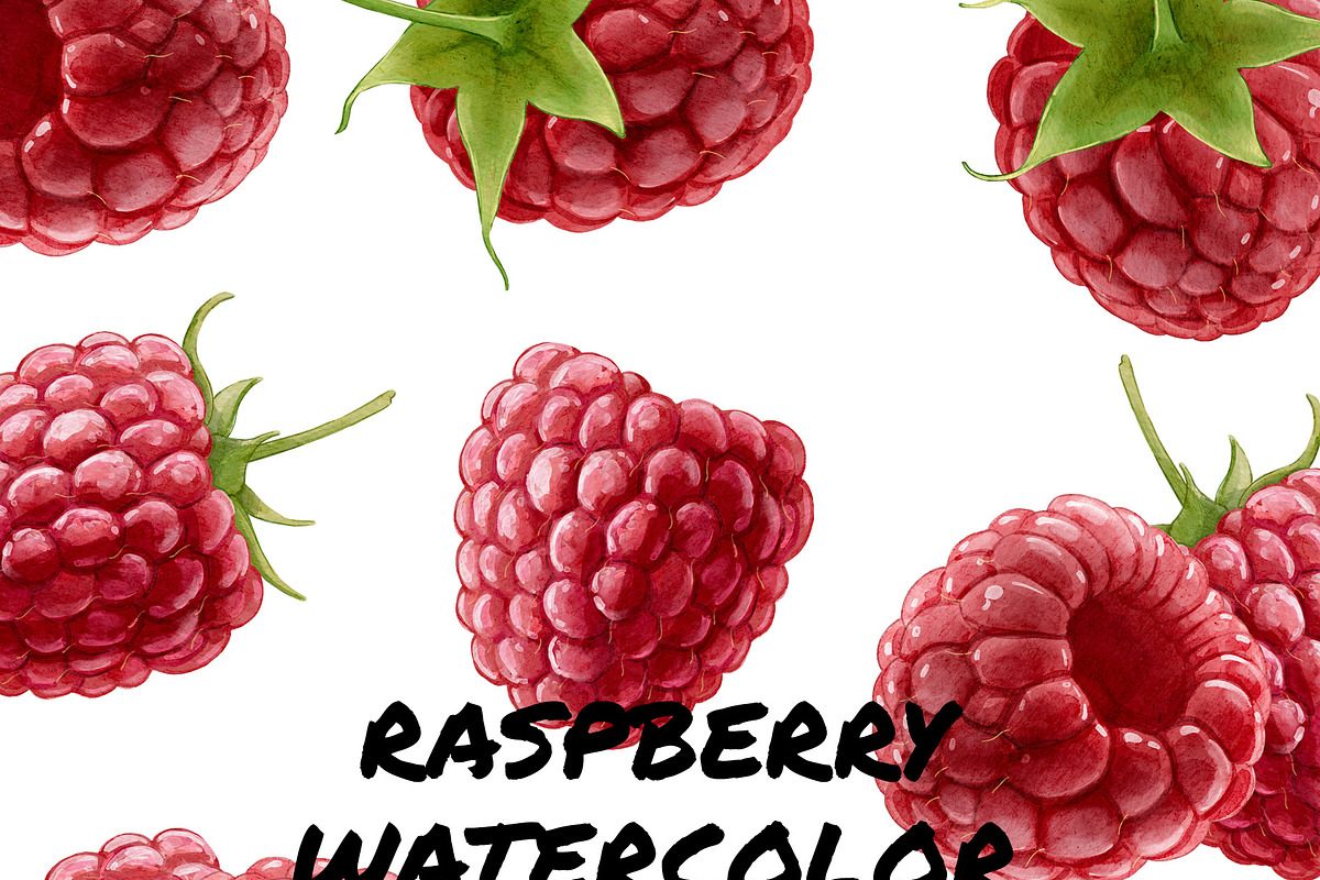 Digital Watercolor Raspberry + Bonus, a Food Illustration by wedraw (Photo 2 of 4)