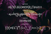 Sylvestre nature handwritten font, a Script Font by Wewhitelist (Thumbnail 3 of 7)