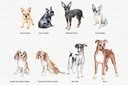 Dogs portrait clipart set, an Animal Illustration by Colibri Watercolor (Thumbnail 3 of 6)
