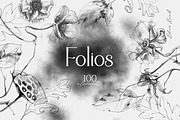 Folios. Botanical illustrations, an Object Illustration by Colden Blue (Thumbnail 1 of 13)