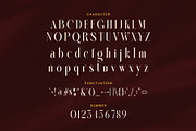 Kamsiah Elegant Serif Font, a Serif Font by Graphicxell (Thumbnail 7 of 8)