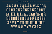 Mestizo, a Font by Mestizo Type Co. (Thumbnail 5 of 6)