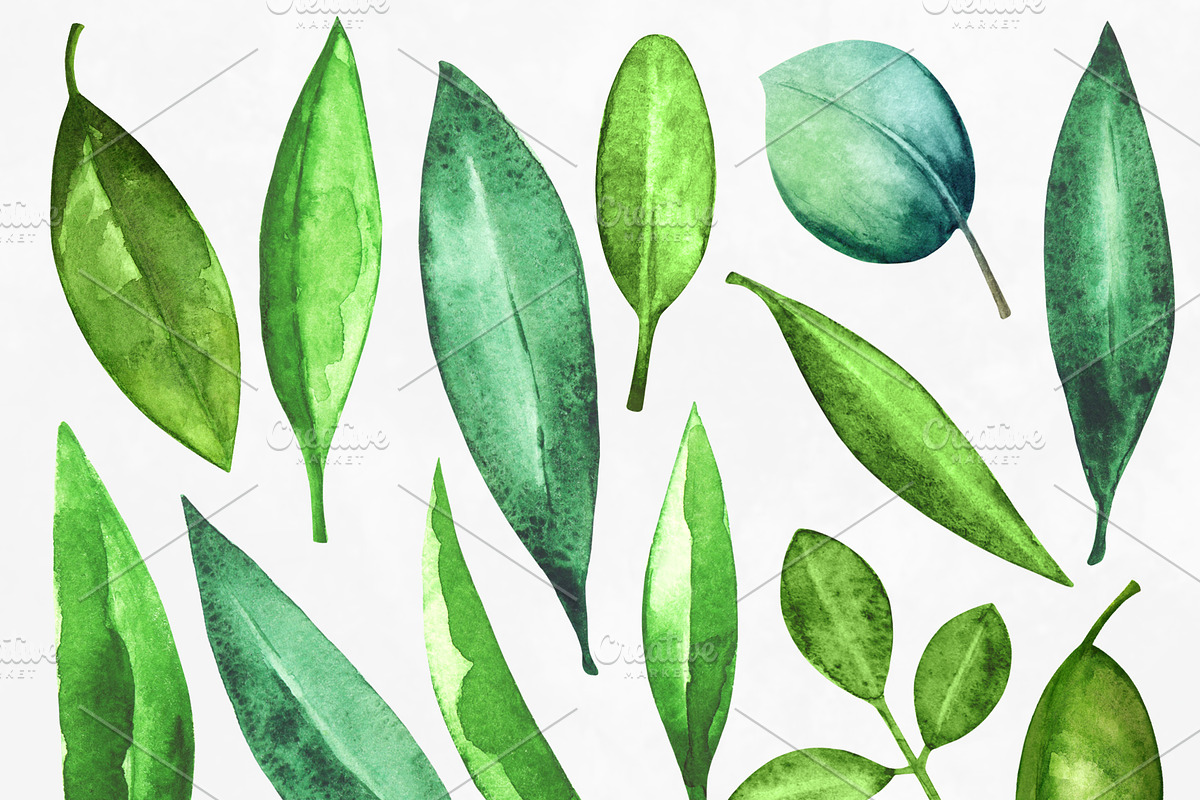 Watercolor Green Leaves, a Healthcare Illustration by Color_Brush (Photo 2 of 8)