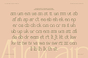 Mildrain, a Serif Font by din-studio.com (Thumbnail 7 of 10)