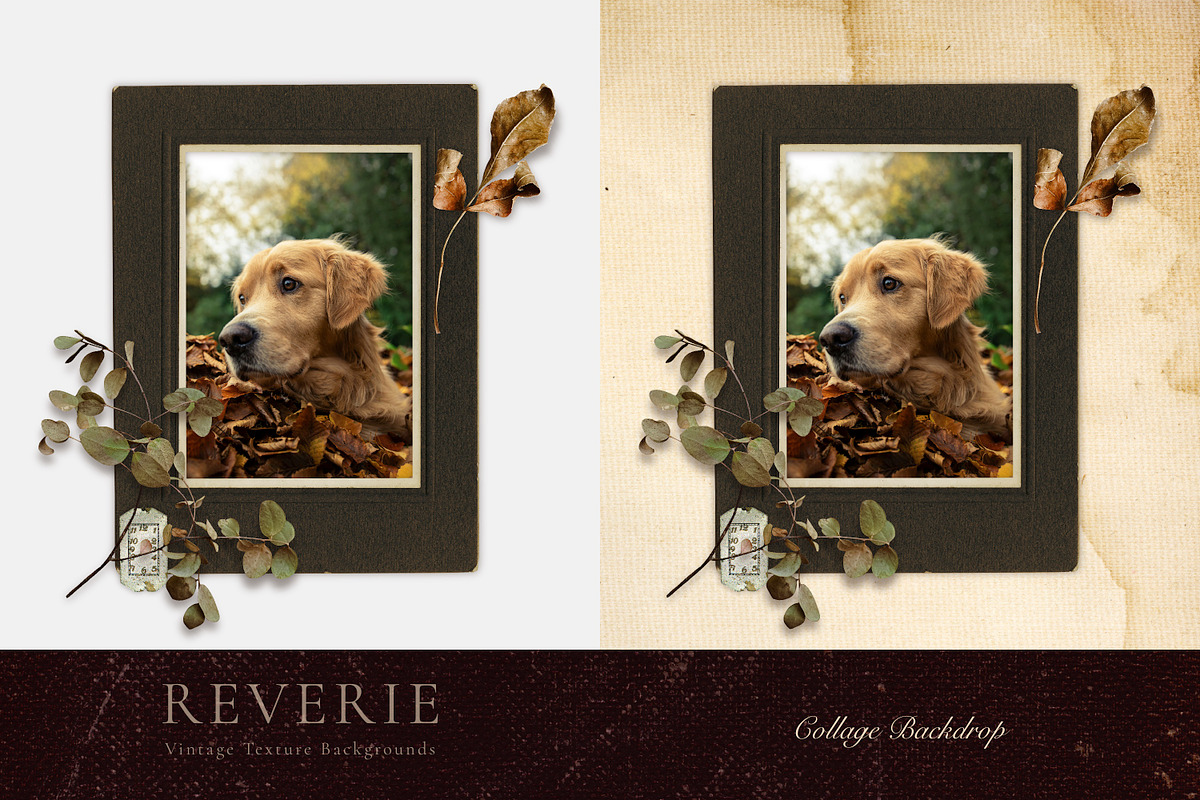 Authentic Vintage Paper Backgrounds, a Background Graphic by Eclectic Anthology (Photo 12 of 13)