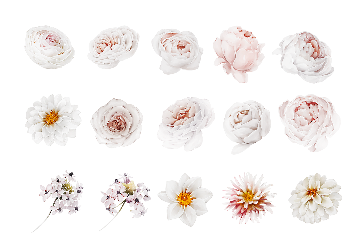 Bronte | Botanical set | 280+ images, an Illustration by Karma (Photo 28 of 39)
