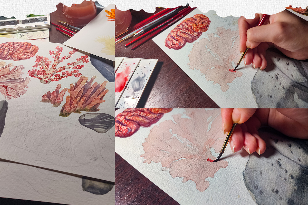 Coral Reef Watercolor Clipart, an Animal Illustration by Nastya Che (Photo 3 of 14)