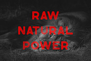 Lagom SVG font + 2 rough OTF fonts, a Font by VP Fonts (Thumbnail 5 of 8)