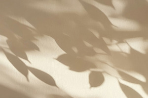 Minimalist Wooden Slice with Dried Twig in Soft Natural Light, an Abstract Photo by Natalia Klenova's Shop