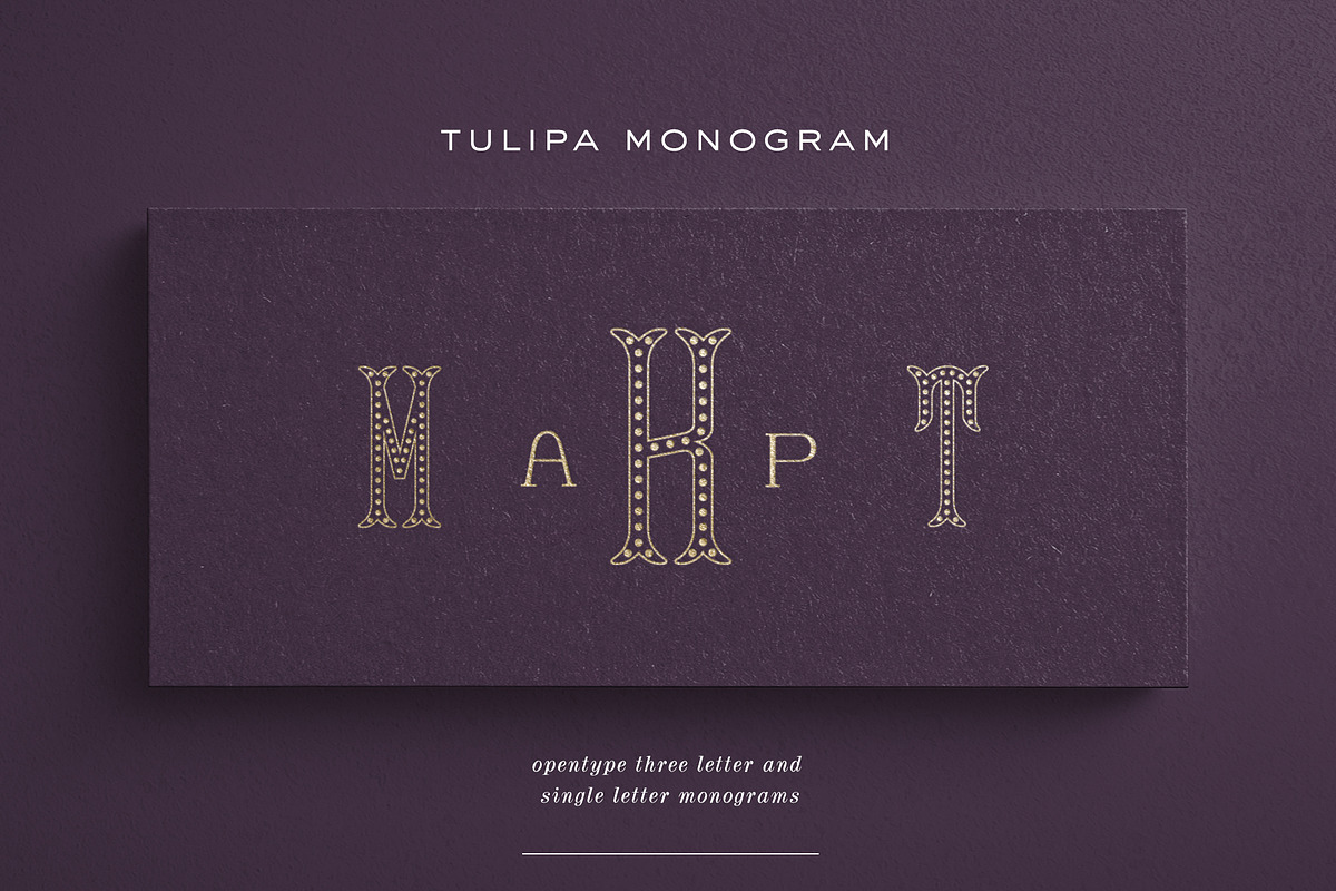 Tulipa Monogram Font, a Font by Haute Papier (Photo 1 of 6)