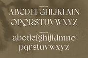 Koolegant Elegant Serif, a Serif Font by Creatype Studio (Thumbnail 8 of 10)
