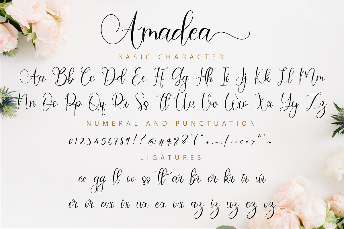 Amadea Script, a Script Font by Nissa Studio (Photo 11 of 12)