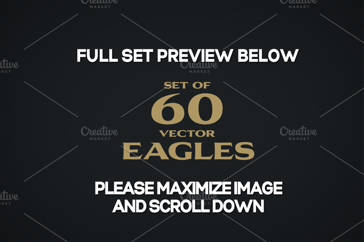 60 Vector Eagles + Bonus, an Object Graphic by Damien (Photo 11 of 11)