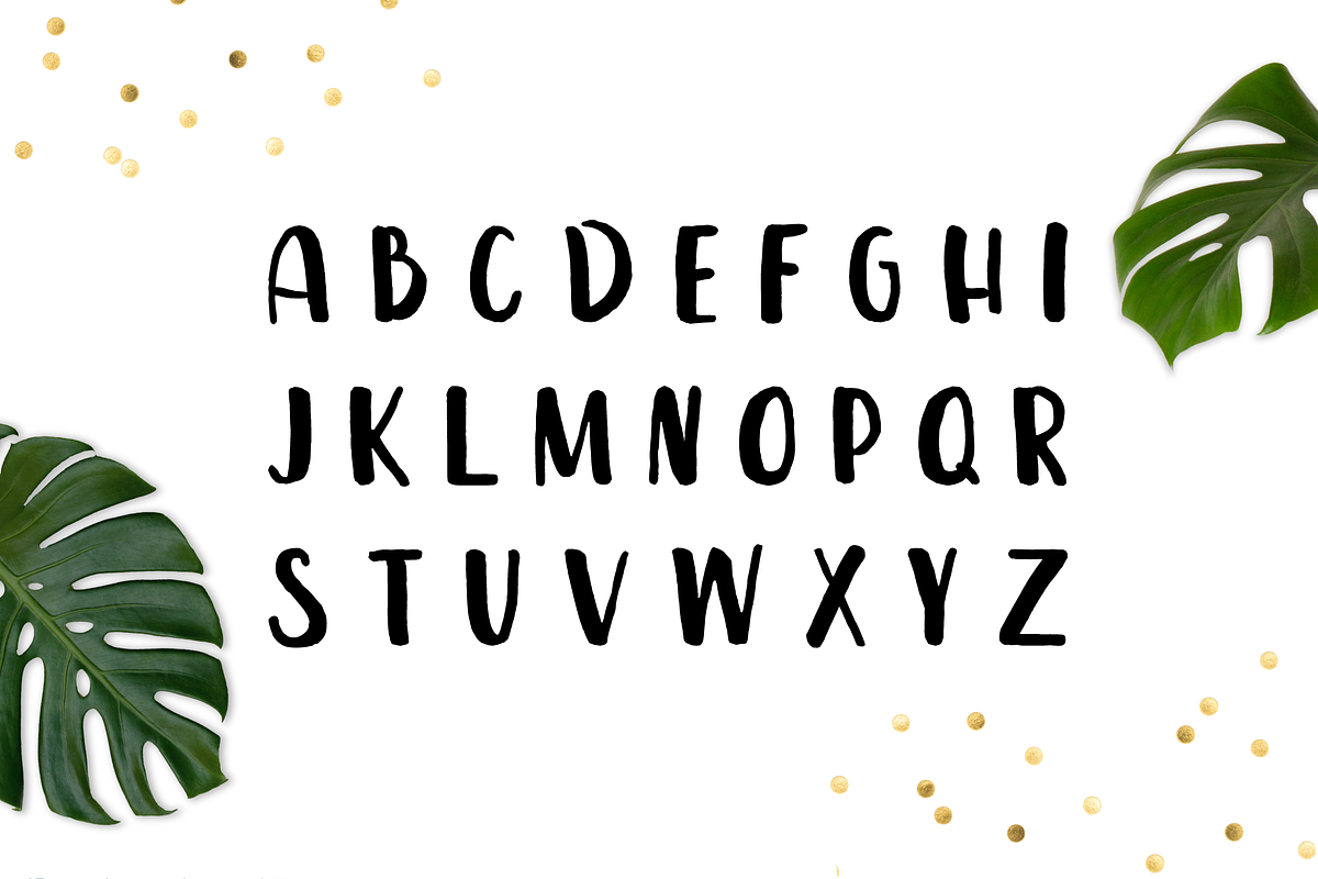 Leira Extended Hand Drawn Brush Font preview 2