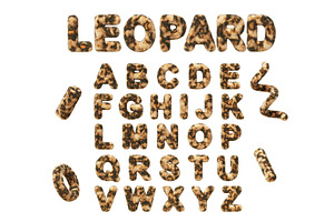 3d leopard text, alphabet with wild, an Animal 3D Model by Marozhkastudio