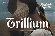 Trillium, a Blackletter Font by Bruised Goods (Thumbnail 2 of 12)