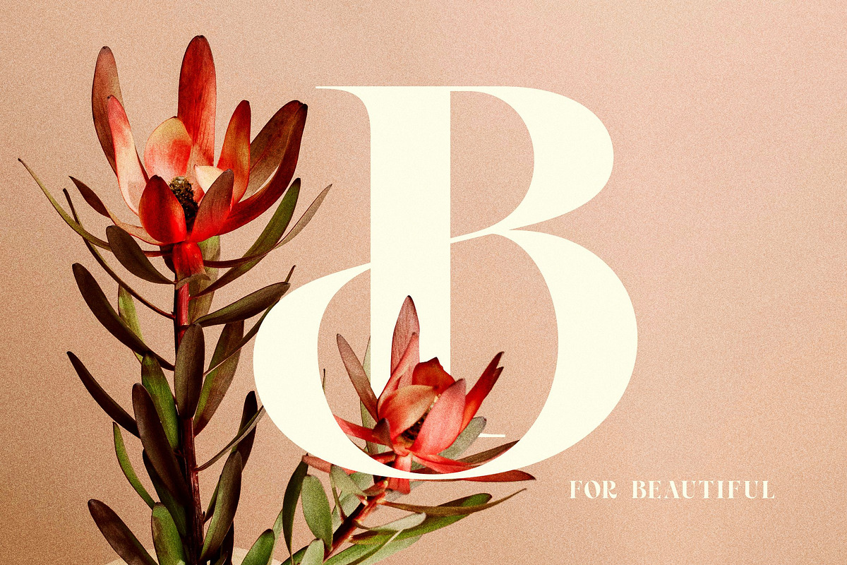 Royal Chapter - Modern Serif, a Serif Font by ErgibiStudio (Photo 7 of 12)
