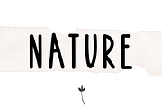 Bonfire - A Bold Handwritten Font, a Script Font by KA Designs (Thumbnail 5 of 8)