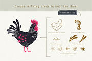 Procreate Bird Drawing Toolkit, a Brush Add-On by Lisa Glanz (Thumbnail 9 of 13)