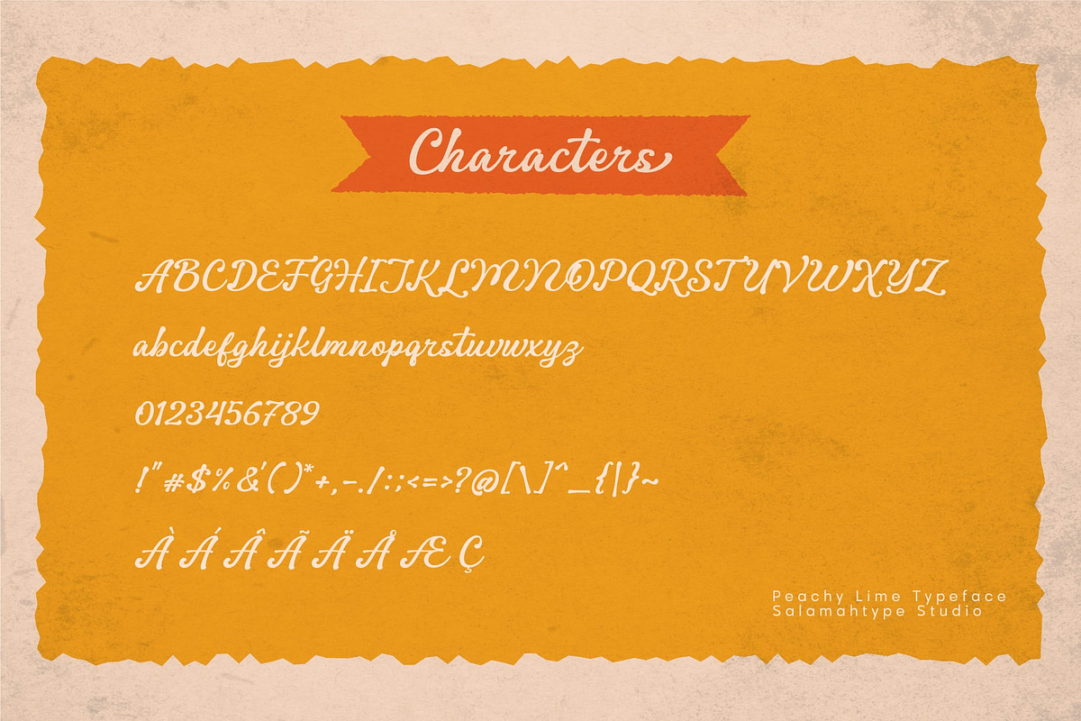 Peachy Lime – Retro Script Font, a Script Font by Salamahtype (Photo 8 of 8)