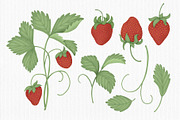 Strawberry, a Seasonal Illustration by Iryna Mel (Thumbnail 3 of 8)
