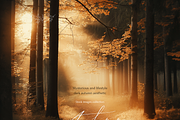 140 Autumn Fall Styled Stock Photos, a Beauty & Fashion Photo by Allure Art (Thumbnail 13 of 24)