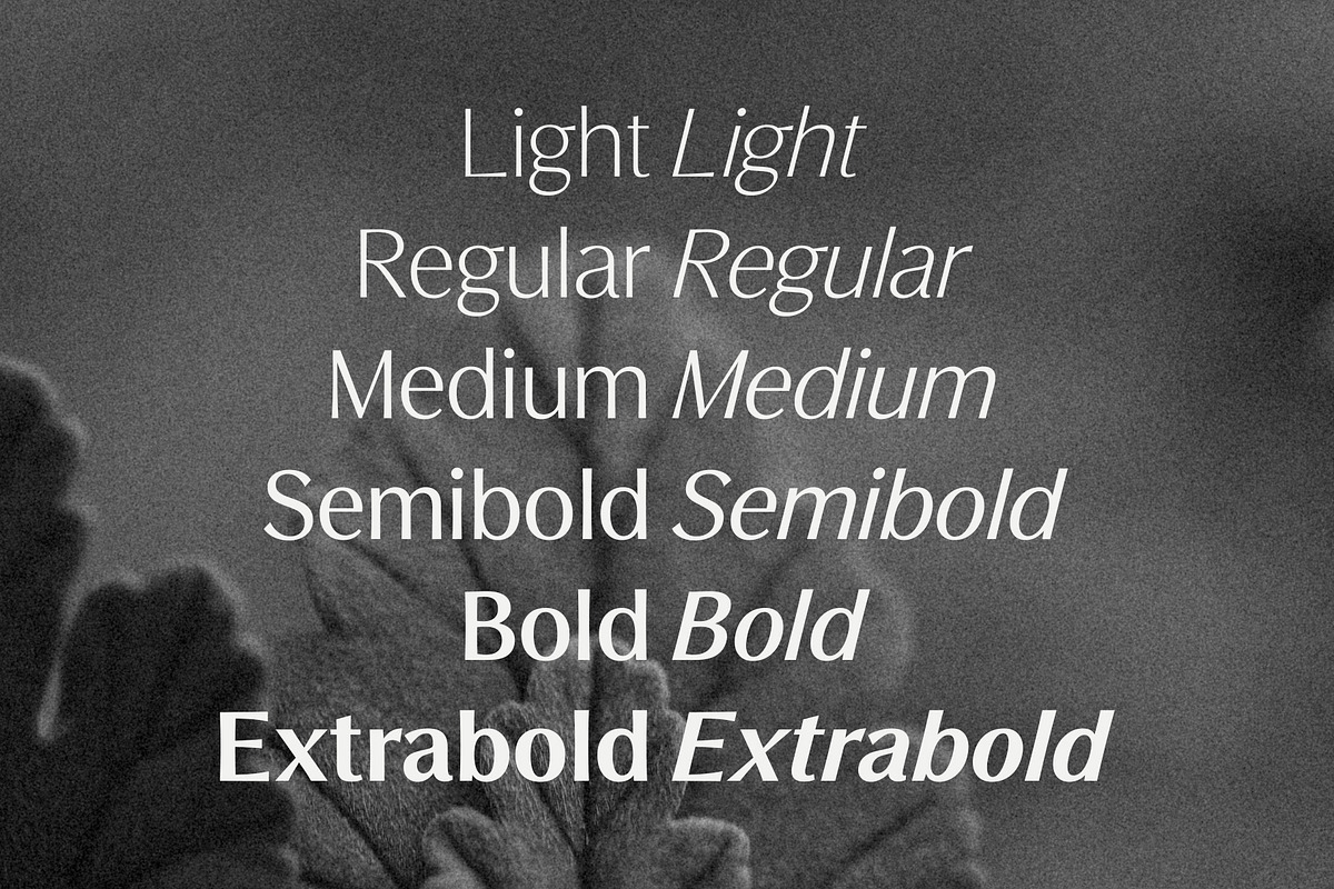 Free Download Preview - Fontfreebie