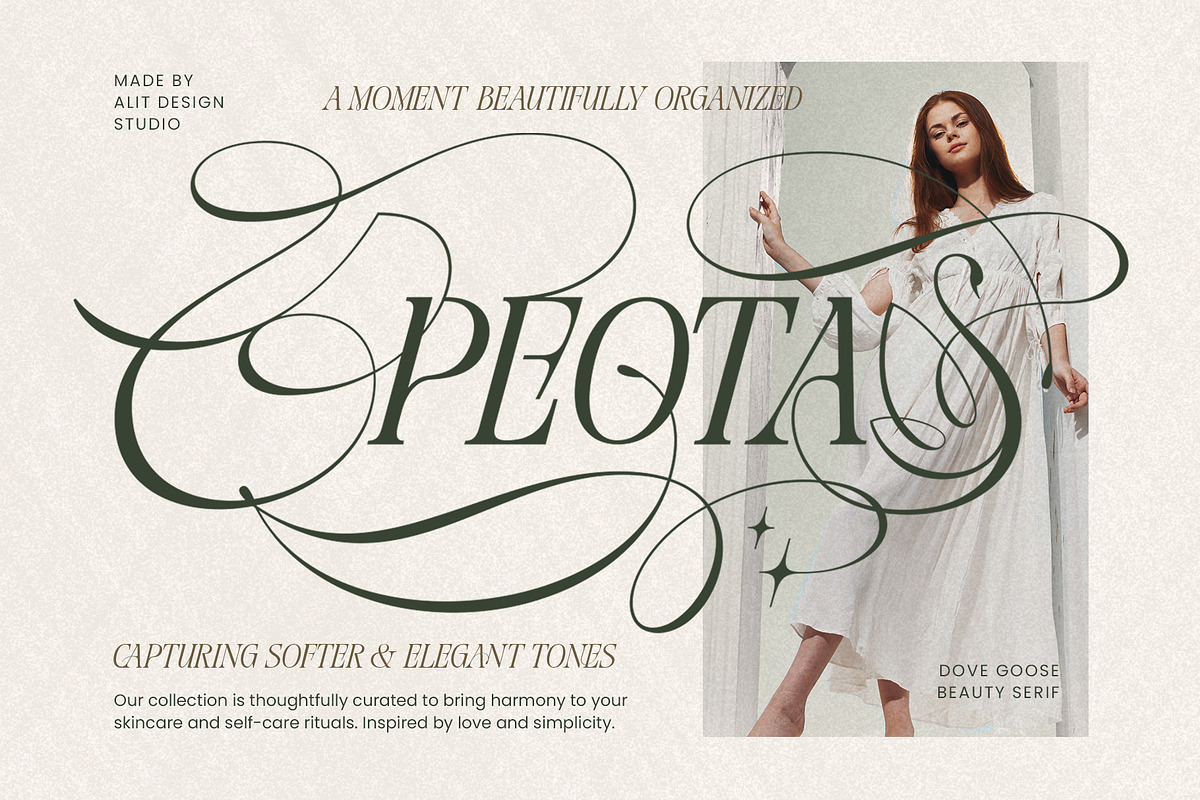 Dove and Goose Typeface, a Serif Font by alit design (Photo 3 of 20)