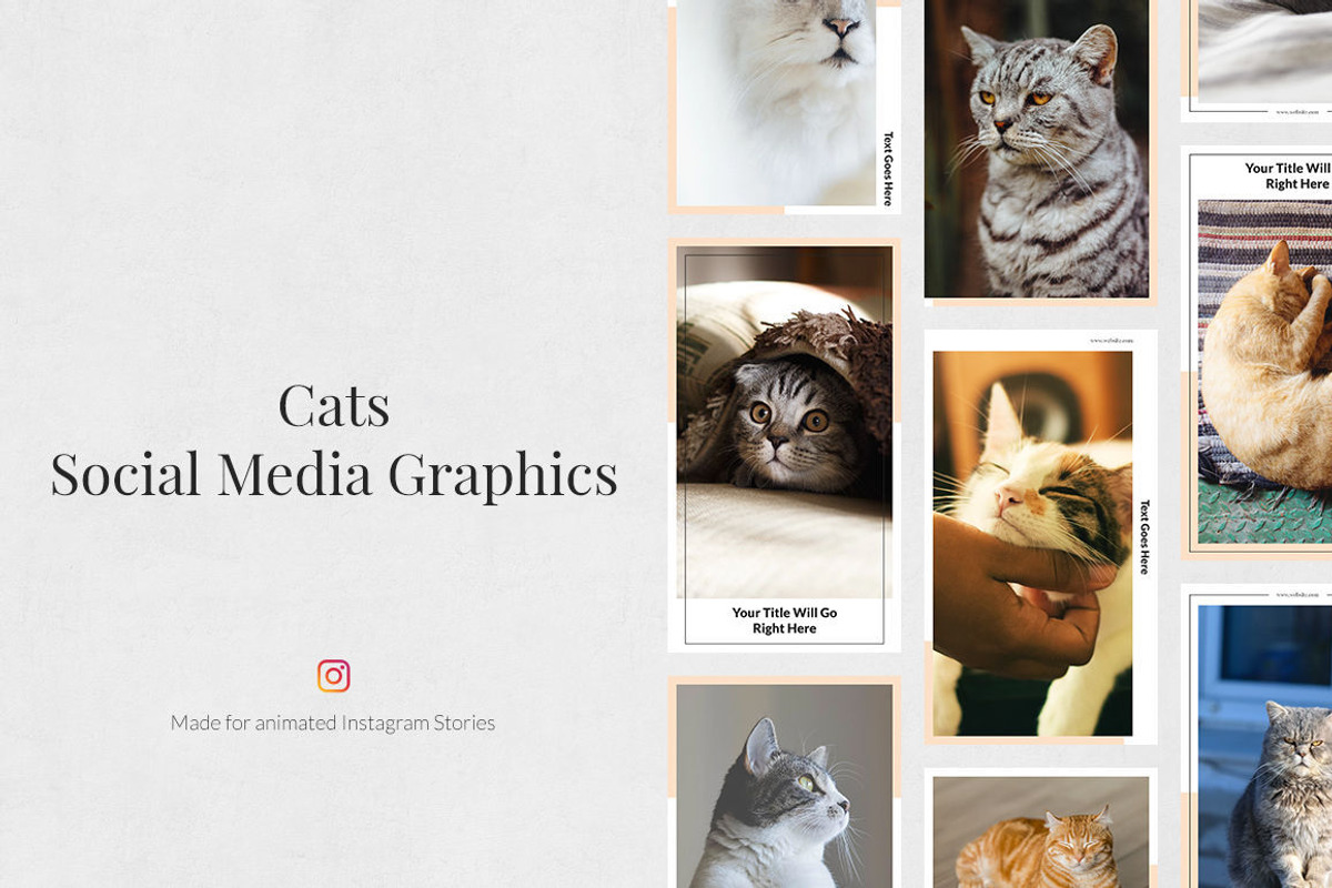 Everything Instagram Bundle, a Social Media Template by Social Corner Graphics (Photo 75 of 145)