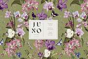 JUNO Flower Floral Seamless Pattern, a Pattern Graphic by Veris Studio (Thumbnail 9 of 14)