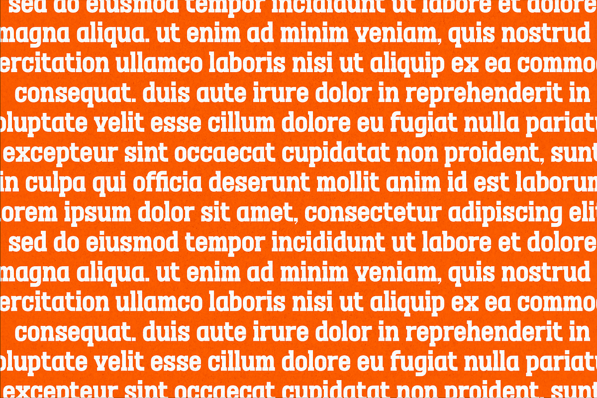 Megolan New Display Sans Serif Font, a Sans Serif Font by Storytype Studio (Photo 6 of 15)