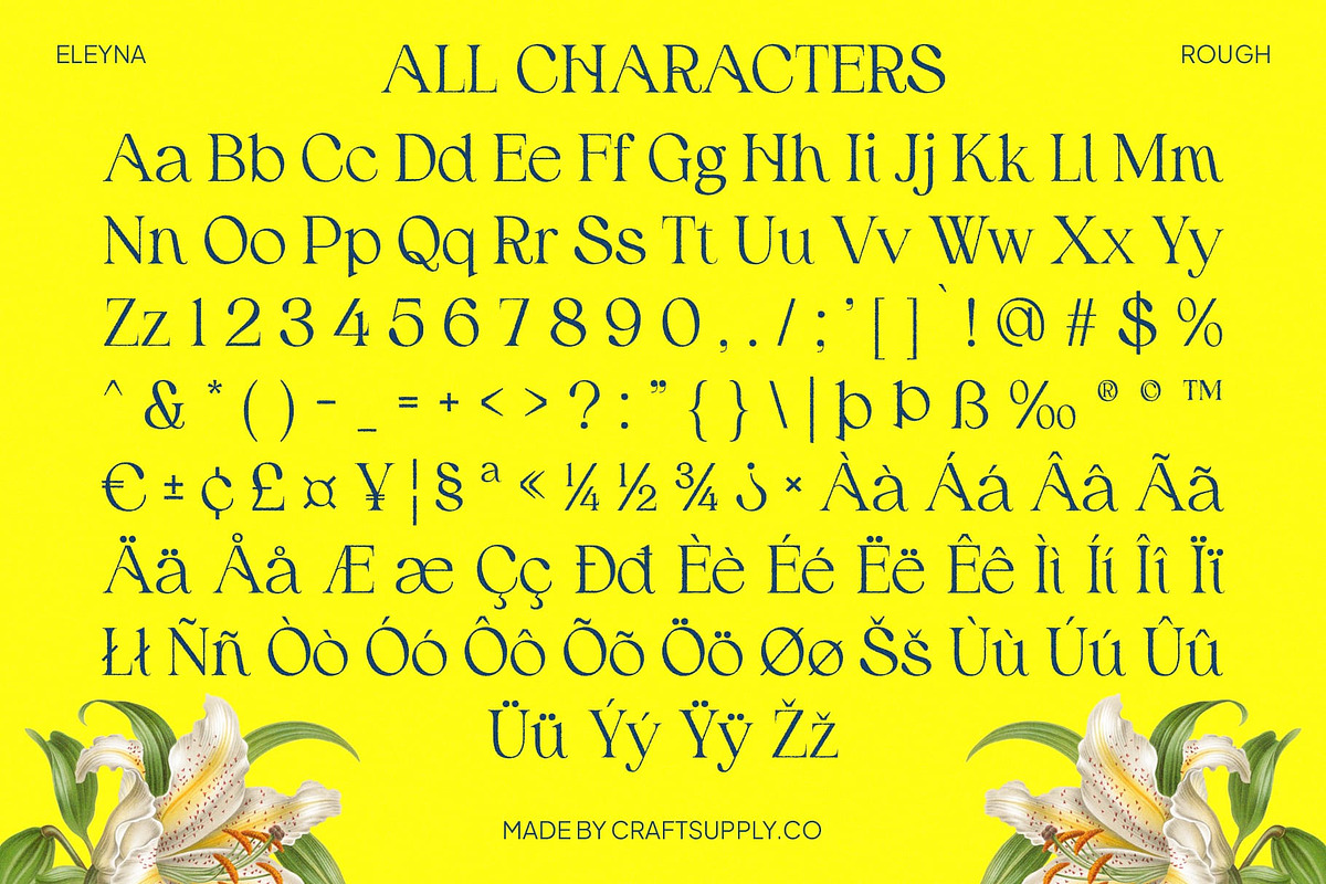 Eleyna Rough, a Serif Font by Craft Supply Co. (Photo 8 of 8)