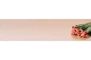 Bunch of red tulip long banner beige, a Holiday Photo by Fascinadora