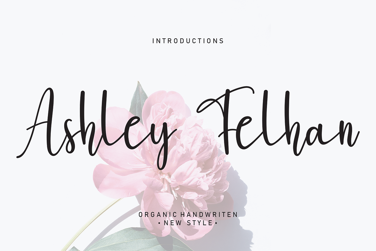 Bundles Script font Collections, a Script Font by Scratchones (Photo 9 of 35)