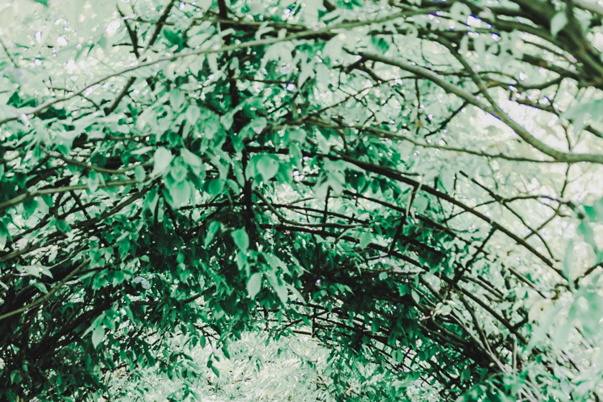 SIGNATURE BRIGHT & AIRY LR PRESET, a Preset Add-On by Fltrr Lightroom Presets (Photo 14 of 20)